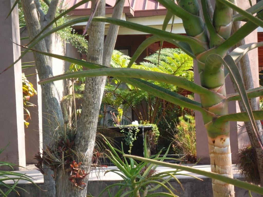 Ku De Ta B&B White River Exterior photo
